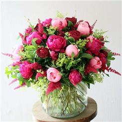 Peony and sweet William